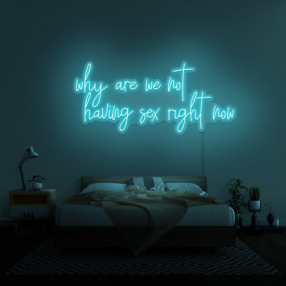 Why Are We Not Having Sex Right Now Neon LED