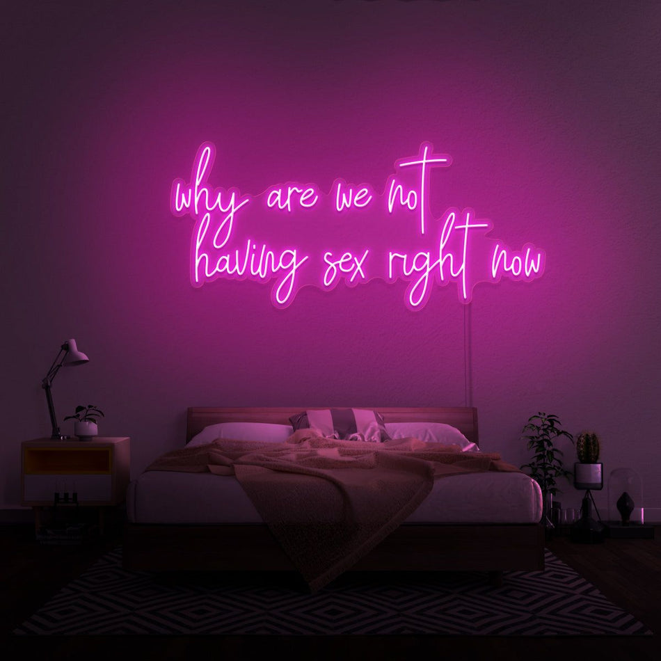 Why Are We Not Having Sex Right Now Neon LED